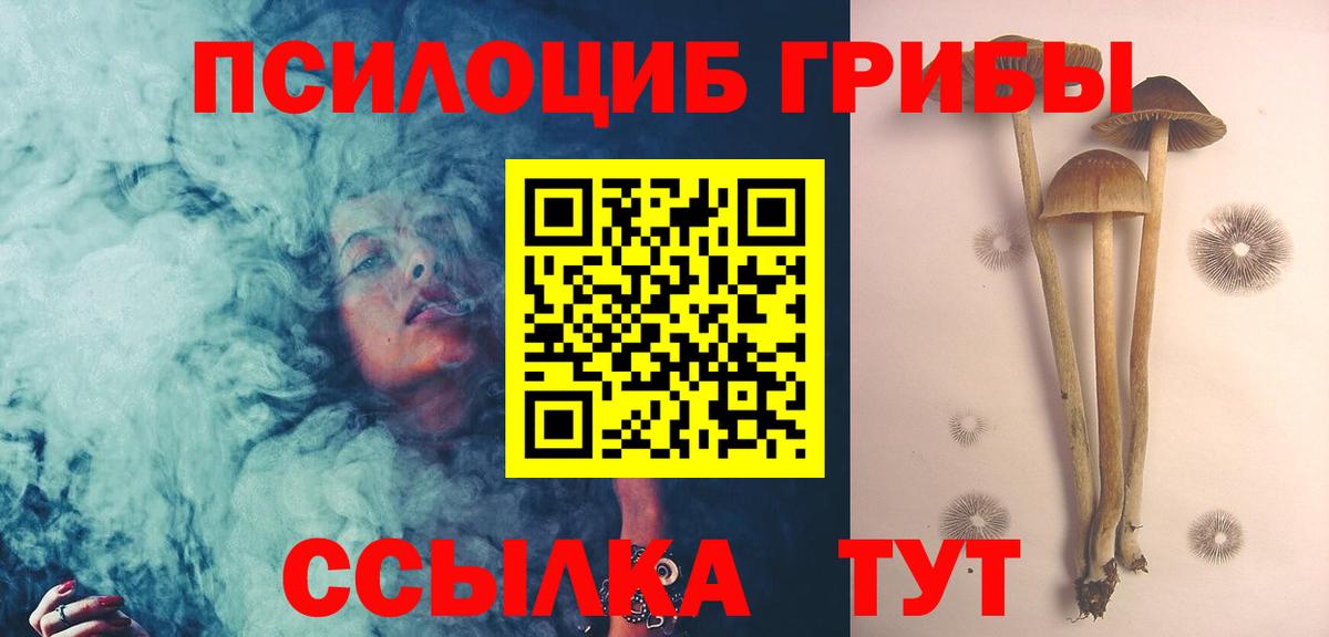 Псилоцибиновые грибы MAGIC MUSHROOMS Сокол